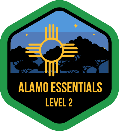 Alamo Essentials Mission-Level 2- 